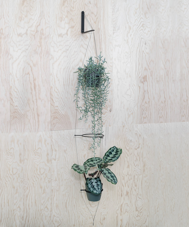 Result Objects Home Accessories Wohnzubehör ORBIT Pflanzenampel plant hanger wall mount Wandmontage