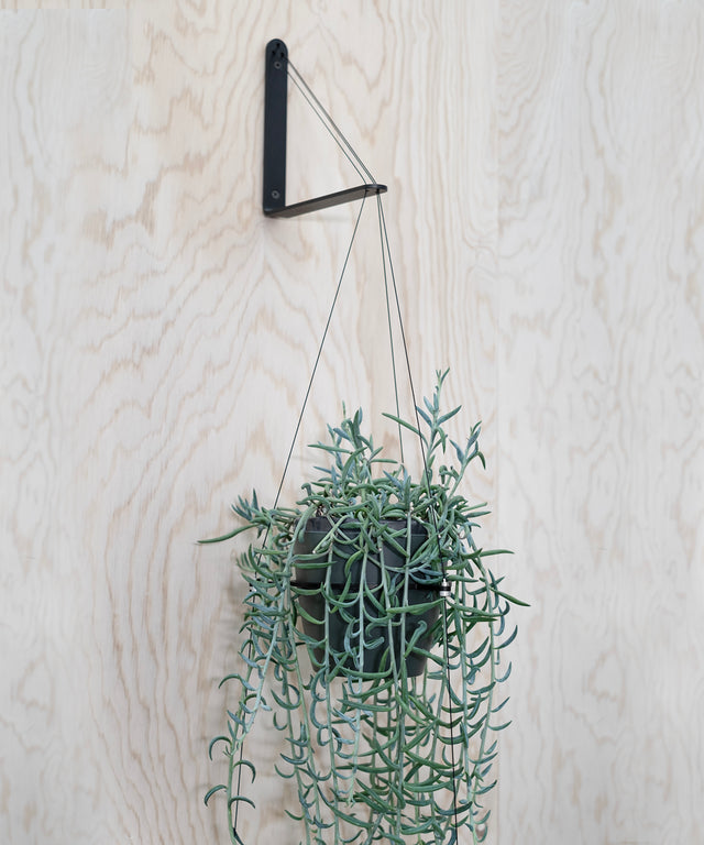 Result Objects Home Accessories Wohnzubehör ORBIT Pflanzenampel plant hanger wall mount Wandmontage