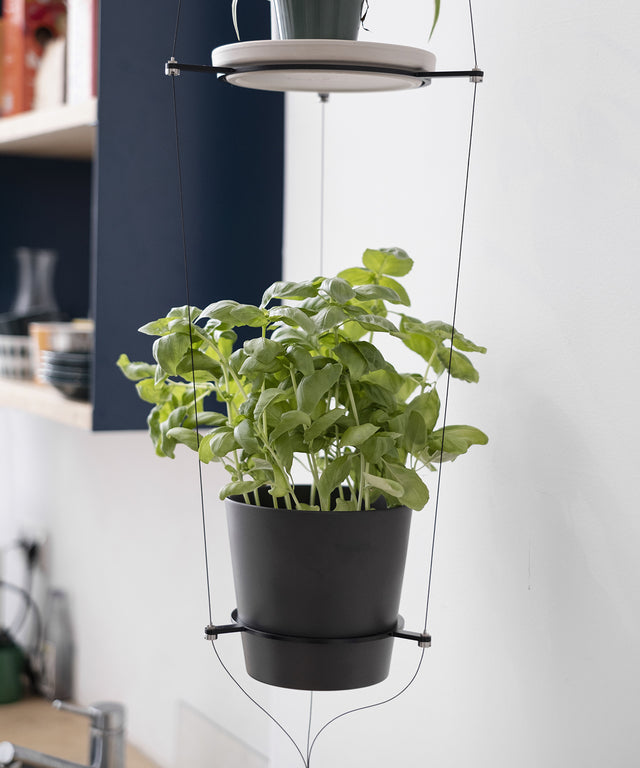 ORBIT plant hanger - Result Objects ORBIT Pflanzenampel