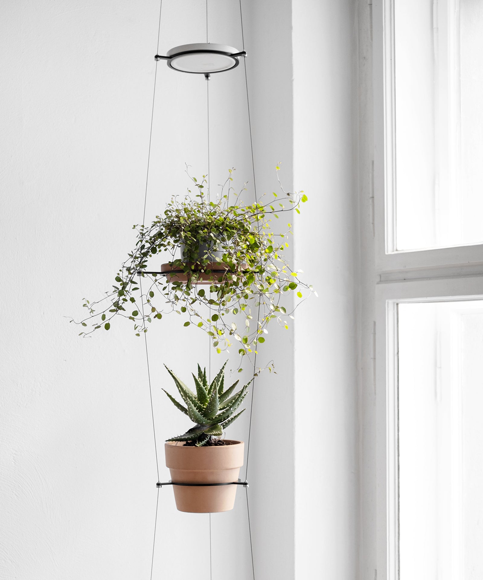 cool hanging plant holders ORBIT plant hanger – Result Objects