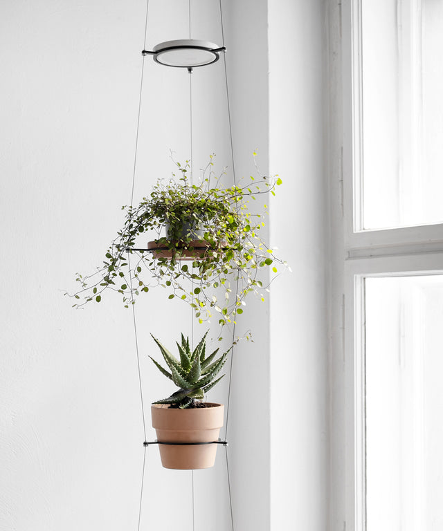 ORBIT plant hanger - Result Objects ORBIT Pflanzenampel Blumenampel