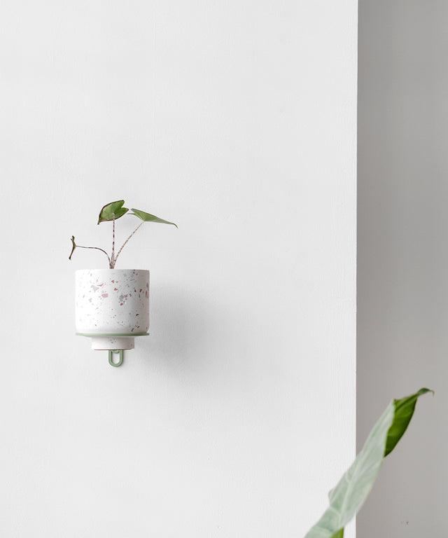PLANTY ring wall planter Green Edition – Result Objects – Pflanzenring für die Wand Edition Grün
