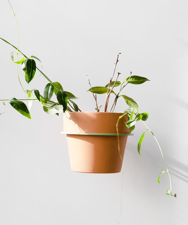 PLANTY ring wall planter Green Edition – Result Objects – Pflanzenring für die Wand Edition Grün