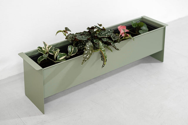 PLANT box - Result Objects