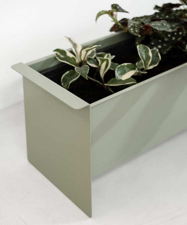 PLANT box – Result Objects
