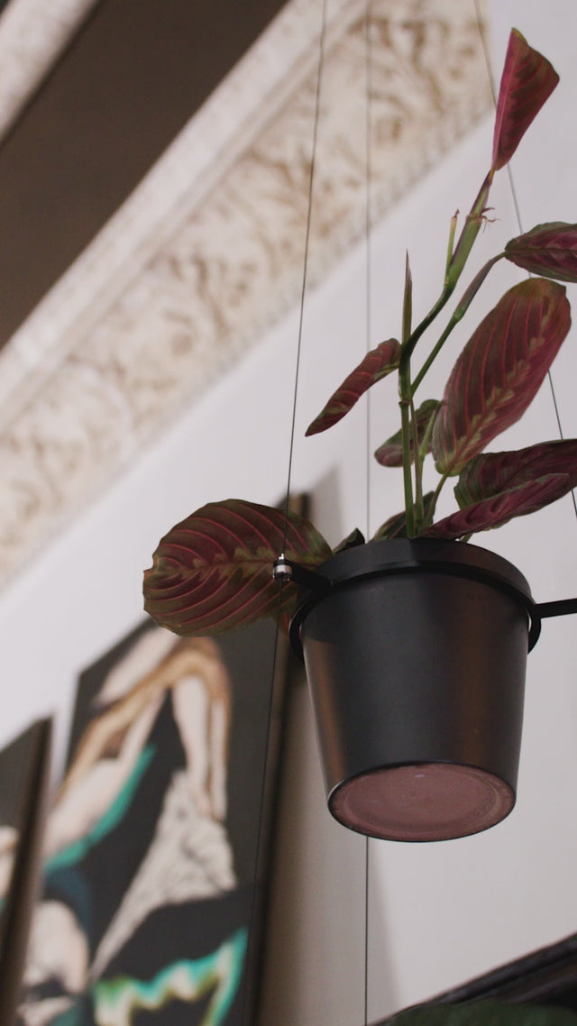 ORBIT plant hanger - Result Objects ORBIT Pflanzenampel Blumenampel