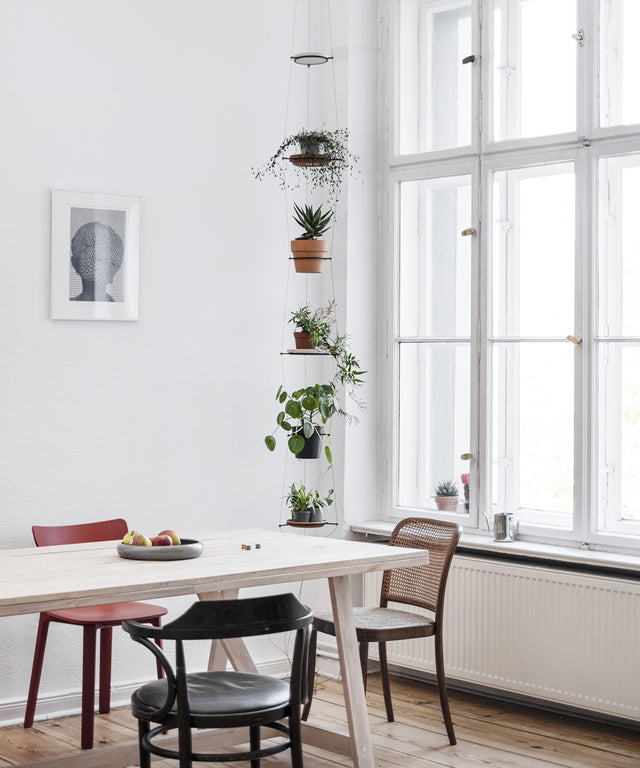 ORBIT plant hanger - Result Objects ORBIT Pflanzenampel im Wohnzimmer an großem Fenster