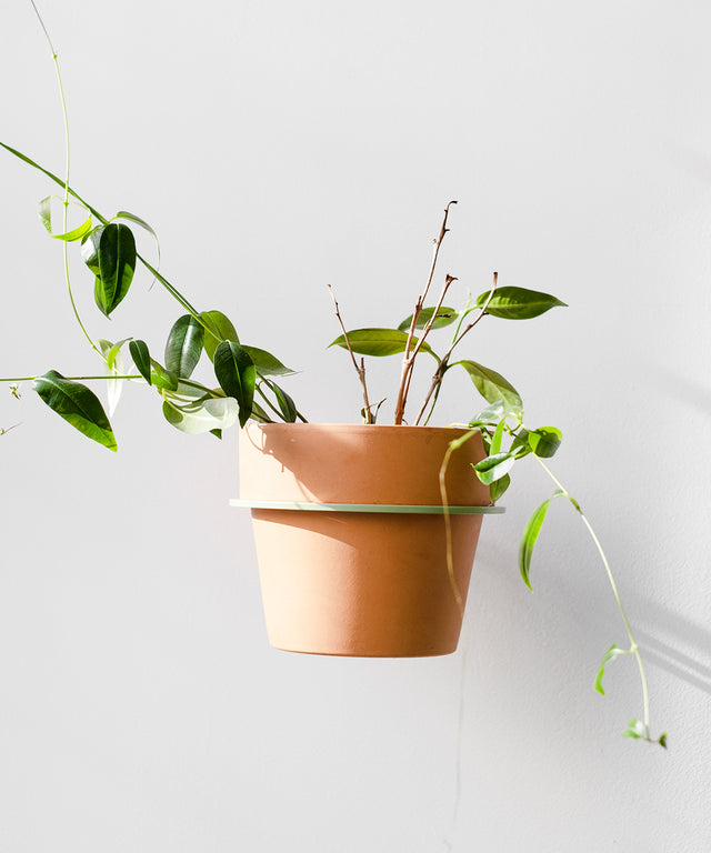 PLANTY ring wall planter Green Edition – Result Objects – Pflanzenring für die Wand Edition Grün