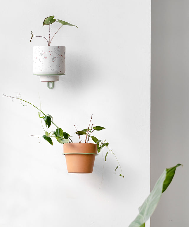 PLANTY ring wall planter Green Edition – Result Objects – Pflanzenring für die Wand Edition Grün