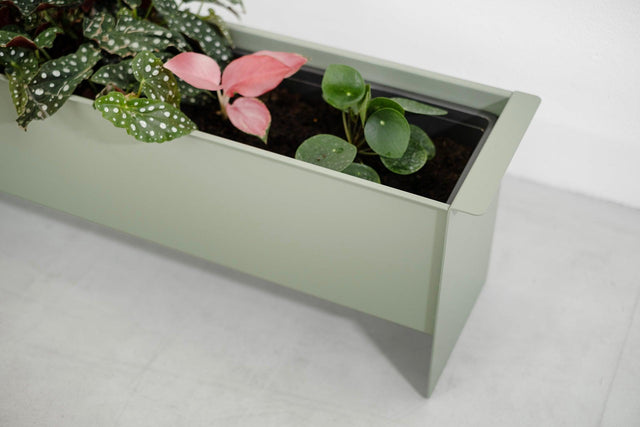 PLANT box - Result Objects