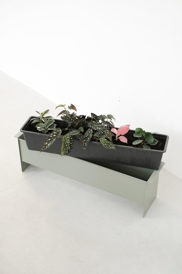 PLANT box - Result Objects