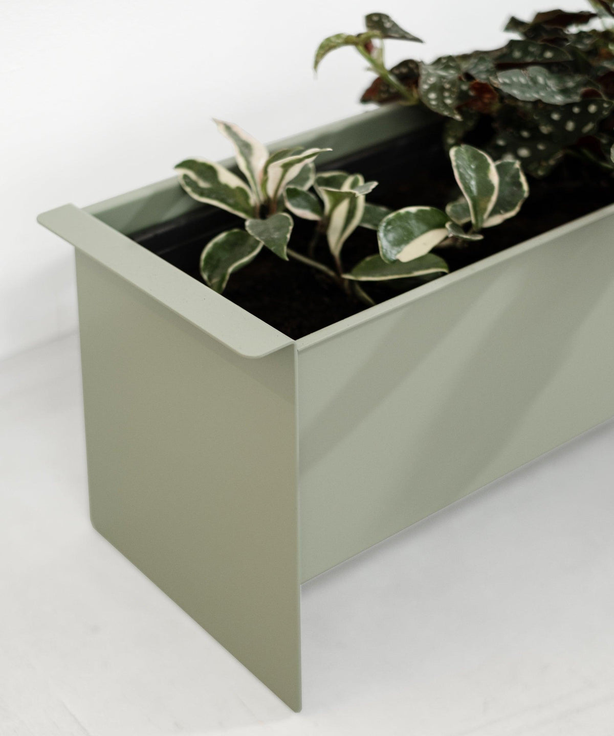 PLANT box – Result Objects